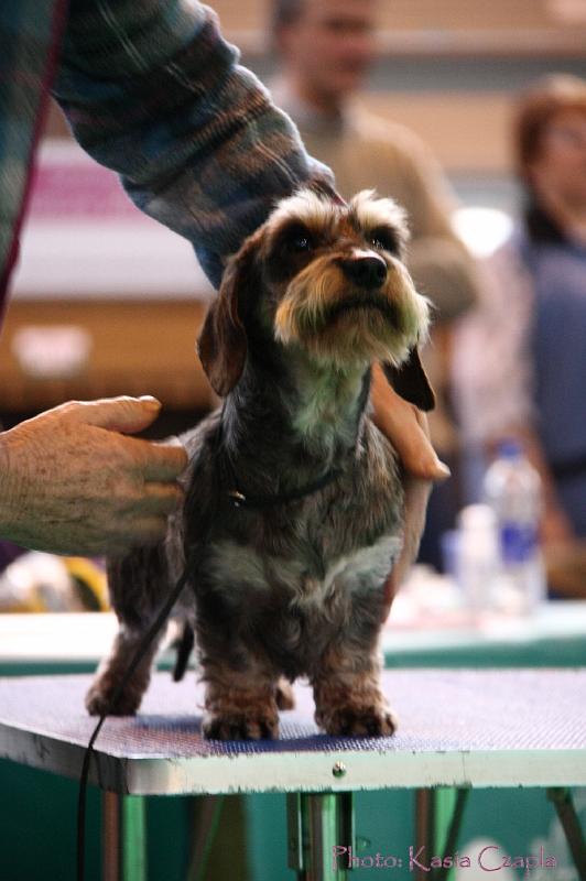 Crufts2011_2 1048.jpg